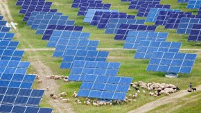 2011-De groene economie