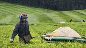 2012-Voedselzekerheid