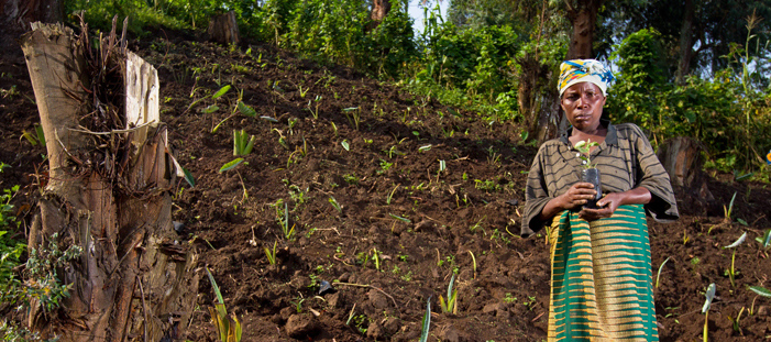 2012-ontbossing en de oplossing