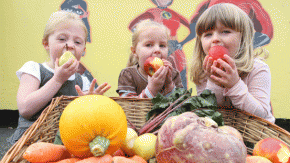 2013-De voordelen van minder vlees