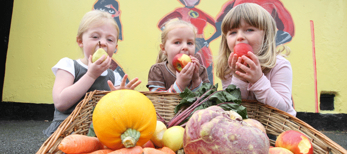 2013-De voordelen van minder vlees