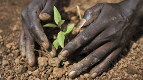 2013-Maatschappelijk Verantwoord Ondernemen 2.0