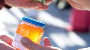 2013-Nederlanders en de deeleconomie omslag