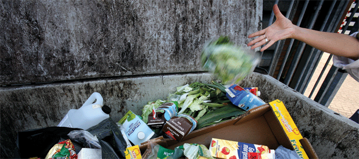 2013-Voedselverspilling factsheet